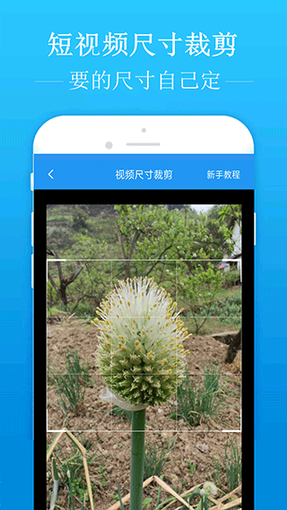 刘学义提到白茶咬牙切齿